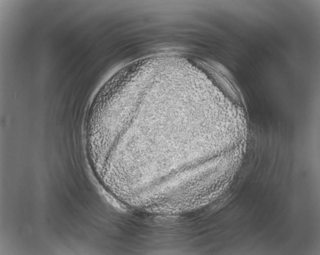 X0000080190859200701051721