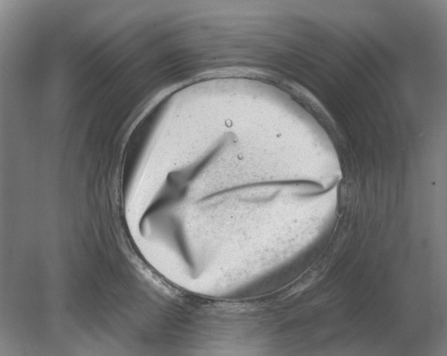 X0000080190860200701051721