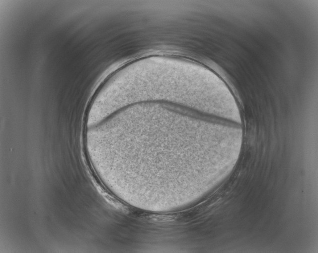 X0000080190861200701051721