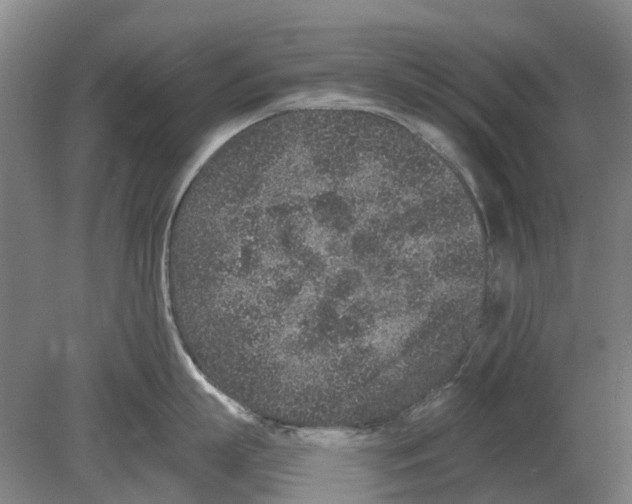 X0000080190863200701051721