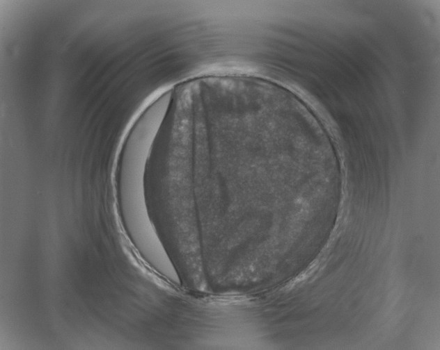 X0000080190864200701051721