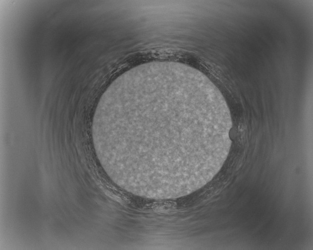 X0000080190865200701051720