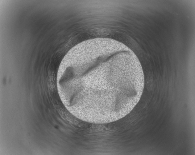 X0000080190866200701051720