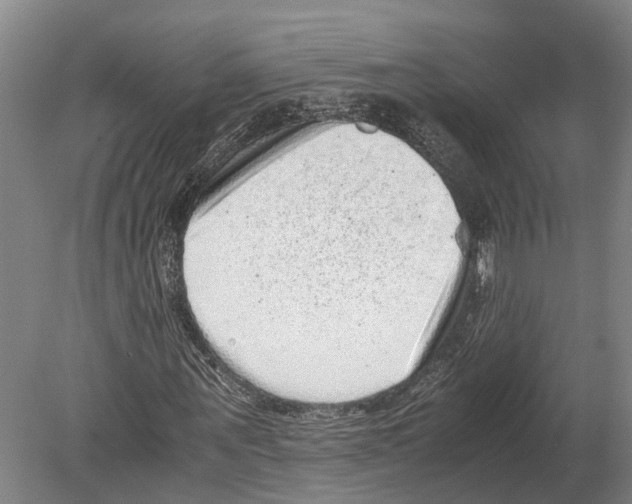 X0000080190867200701051720