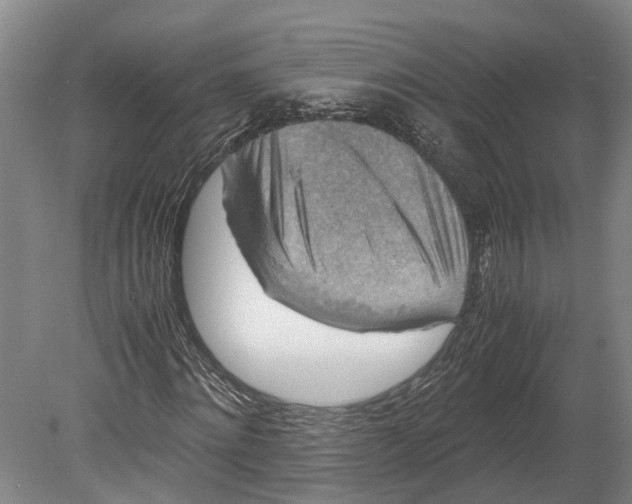 X0000080190868200701051720