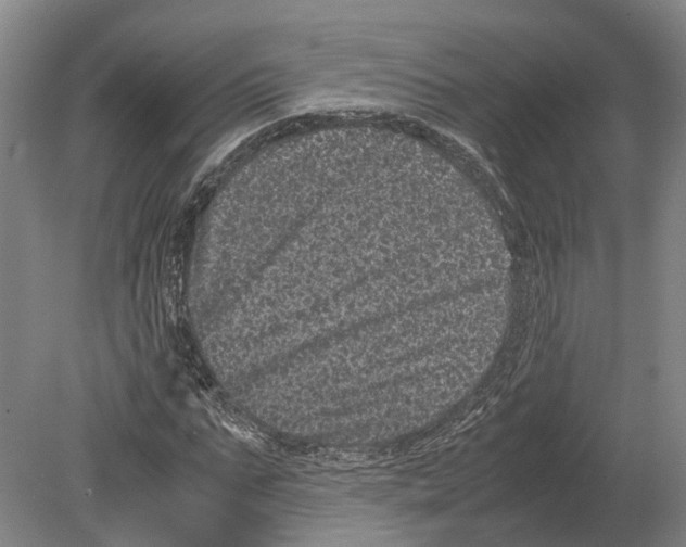 X0000080190871200701051720