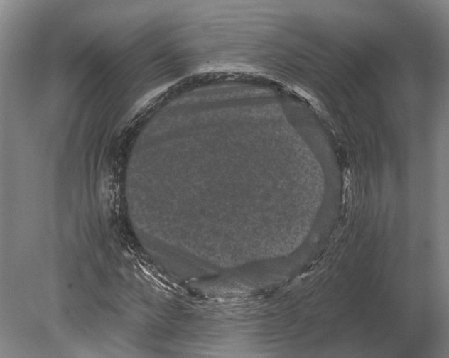 X0000080190872200701051720