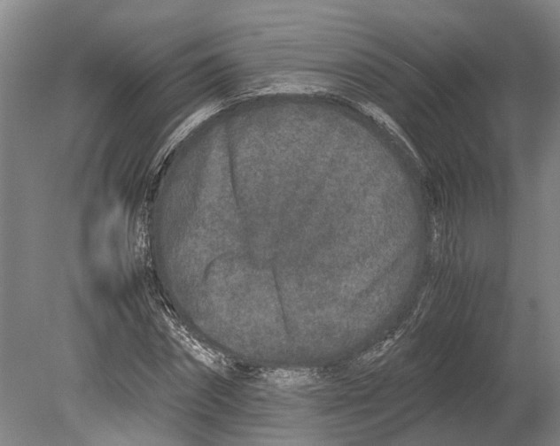 X0000080190874200701051720