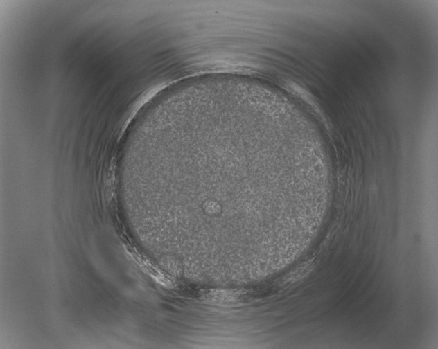 X0000080190875200701051720