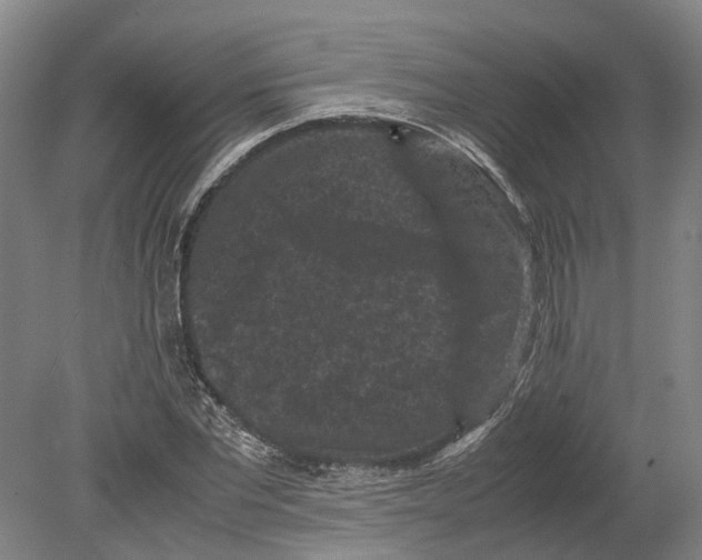 X0000080190877200701051720