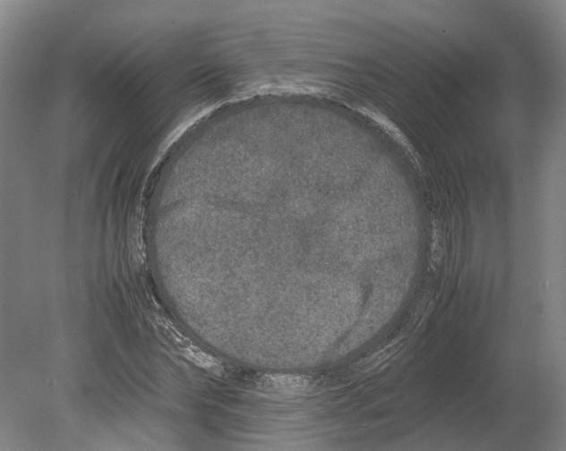 X0000080190878200701051720