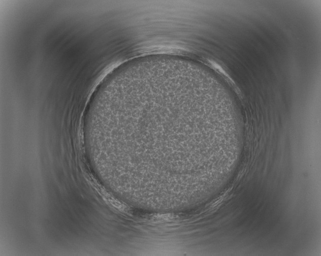 X0000080190883200701051720