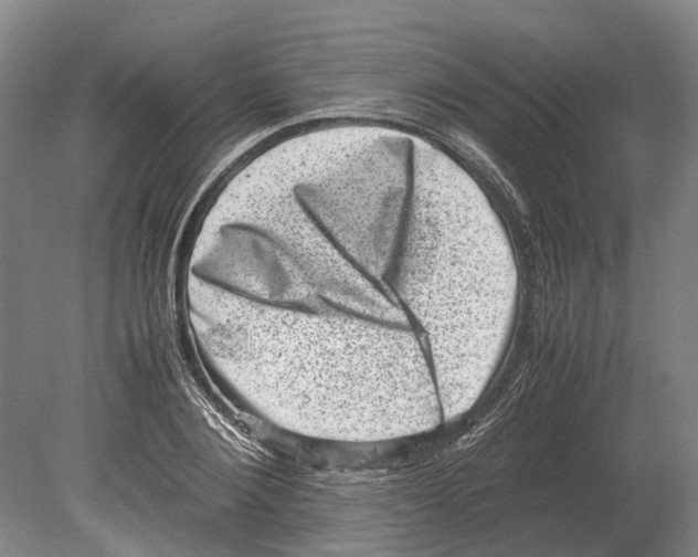 X0000080190884200701051720