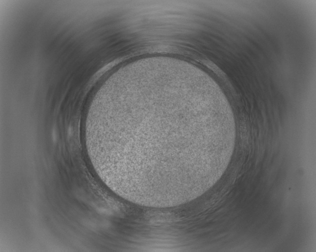 X0000080190886200701051720