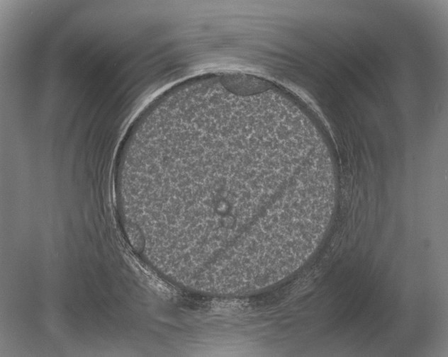 X0000080190887200701051720