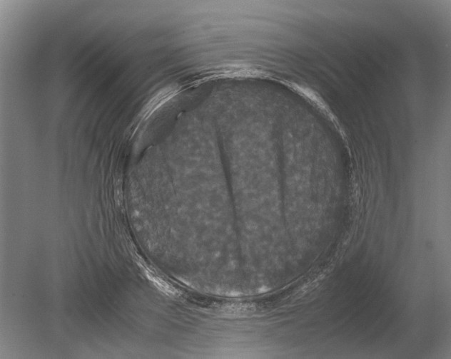 X0000080190889200701051720