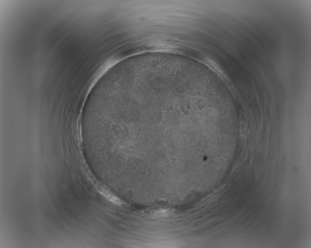 X0000080190891200701051720