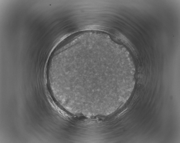 X0000080190892200701051720