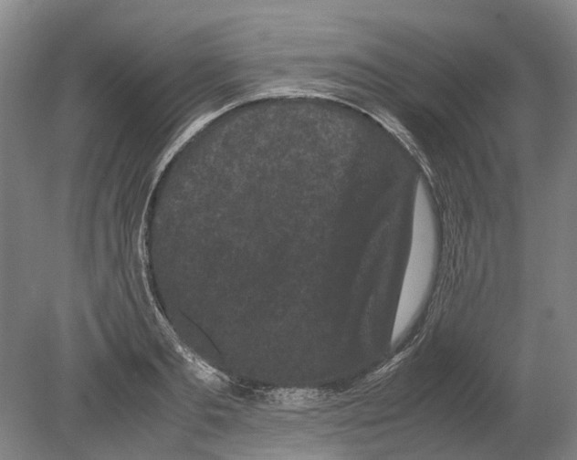 X0000080190893200701051720