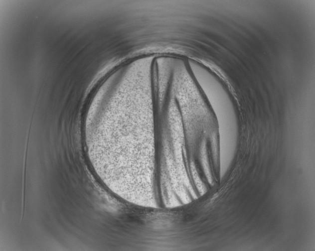 X0000080190894200701051720