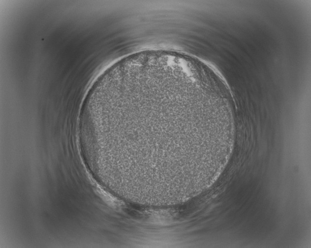 X0000080190895200701051720