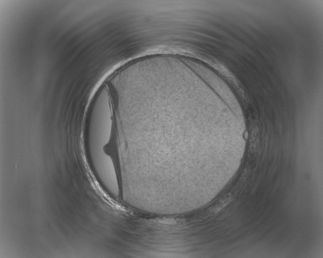 X0000080190896200701051720