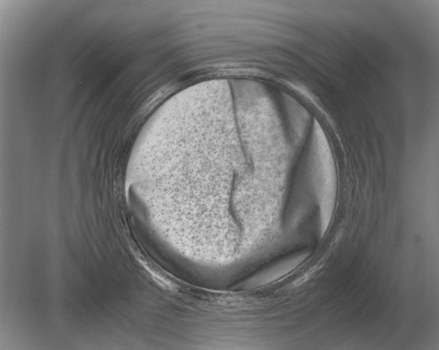 X0000080190897200701051720