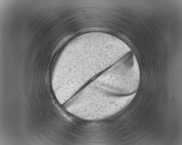 X0000080190898200701051720