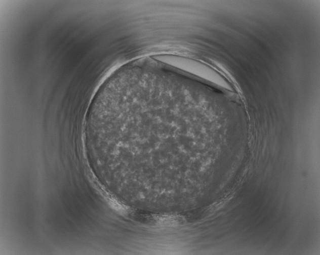 X0000080190899200701051720