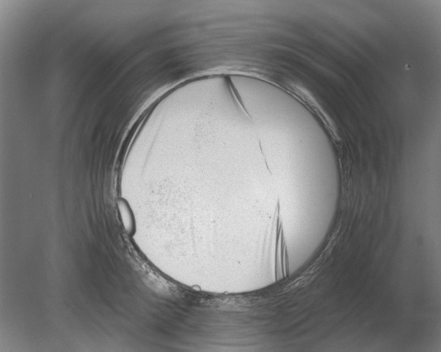 X0000080190900200701051720