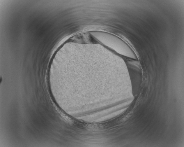 X0000080190901200701051720