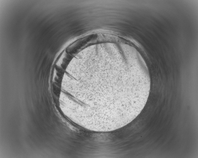 X0000080190902200701051720