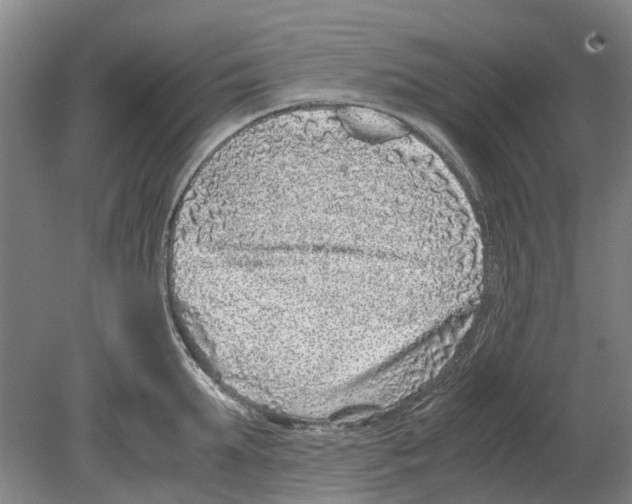 X0000080190903200701051720