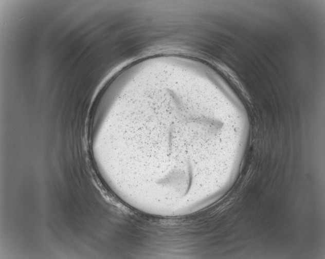 X0000080190904200701051720