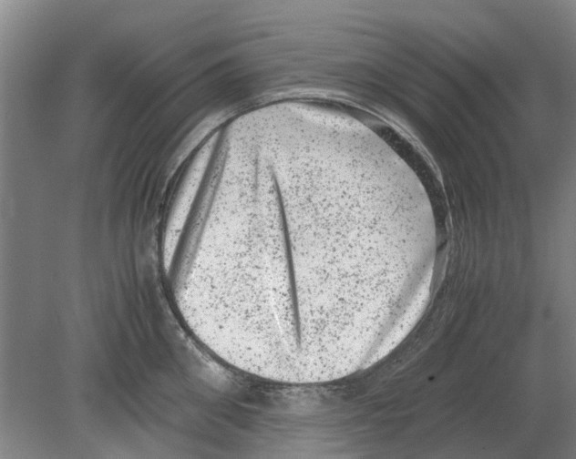 X0000080190906200701051720