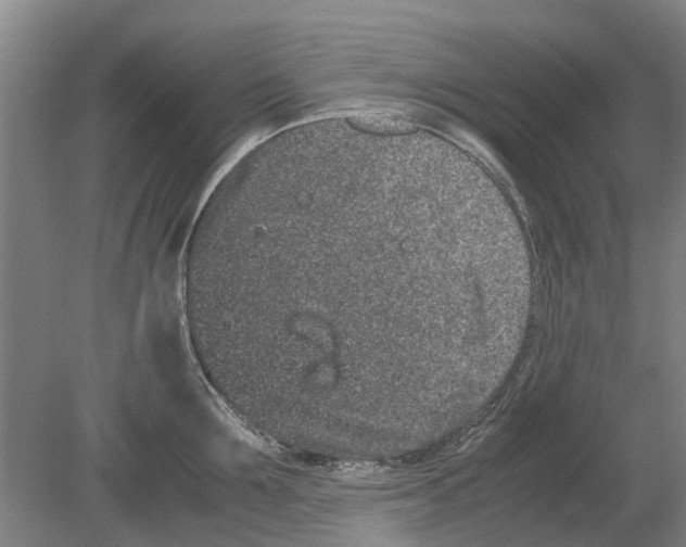 X0000080190907200701051720