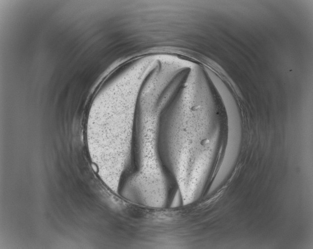 X0000080190908200701051720