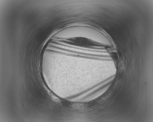 X0000080190909200701051720