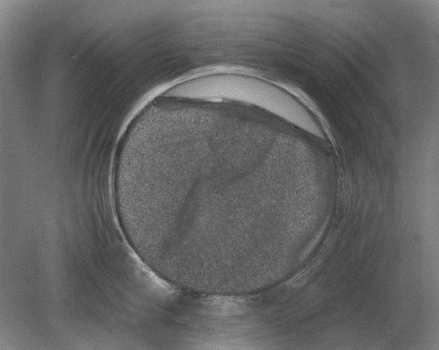 X0000080190910200701051720