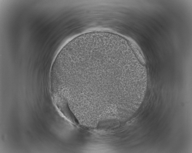 X0000080190911200701051719