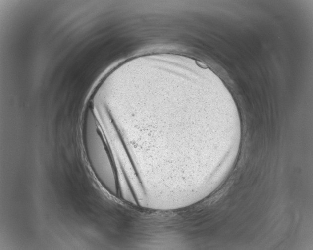 X0000080190912200701051719