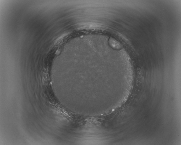 X0000080190918200701051719