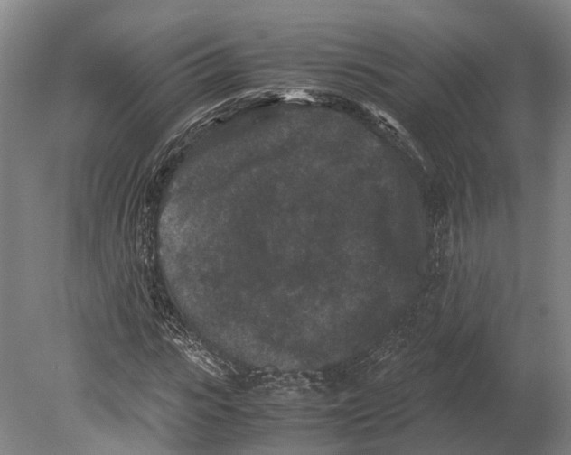 X0000080190919200701051719