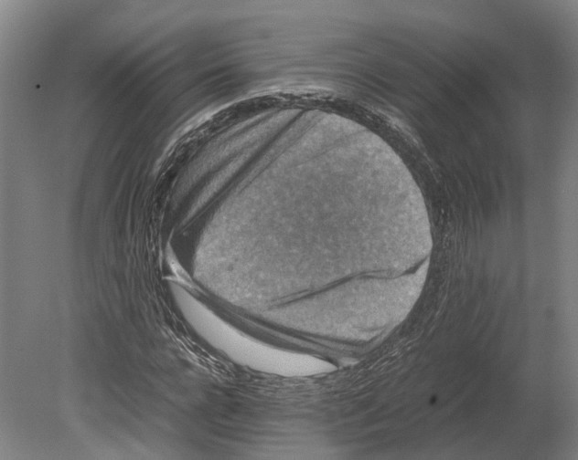 X0000080190920200701051719