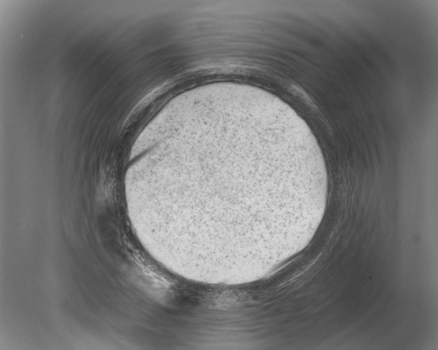 X0000080190922200701051719