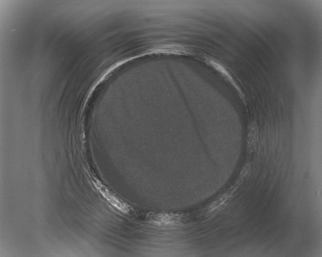 X0000080190923200701051719