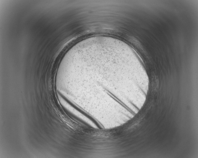 X0000080190924200701051719