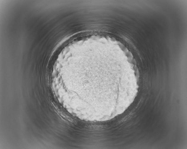 X0000080190925200701051719