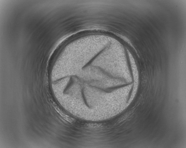 X0000080190927200701051719