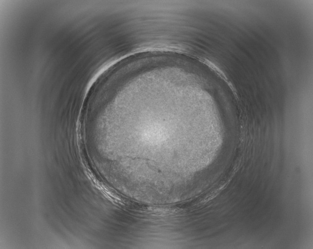 X0000080190928200701051719